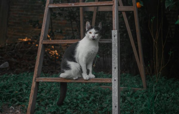 Comment adopter l"ayurvéda pour une perte de poids efficace et durable ?