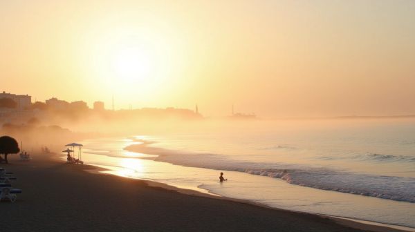 Maîtriser le traitement des moustiques à Marseille pour un mieux-être